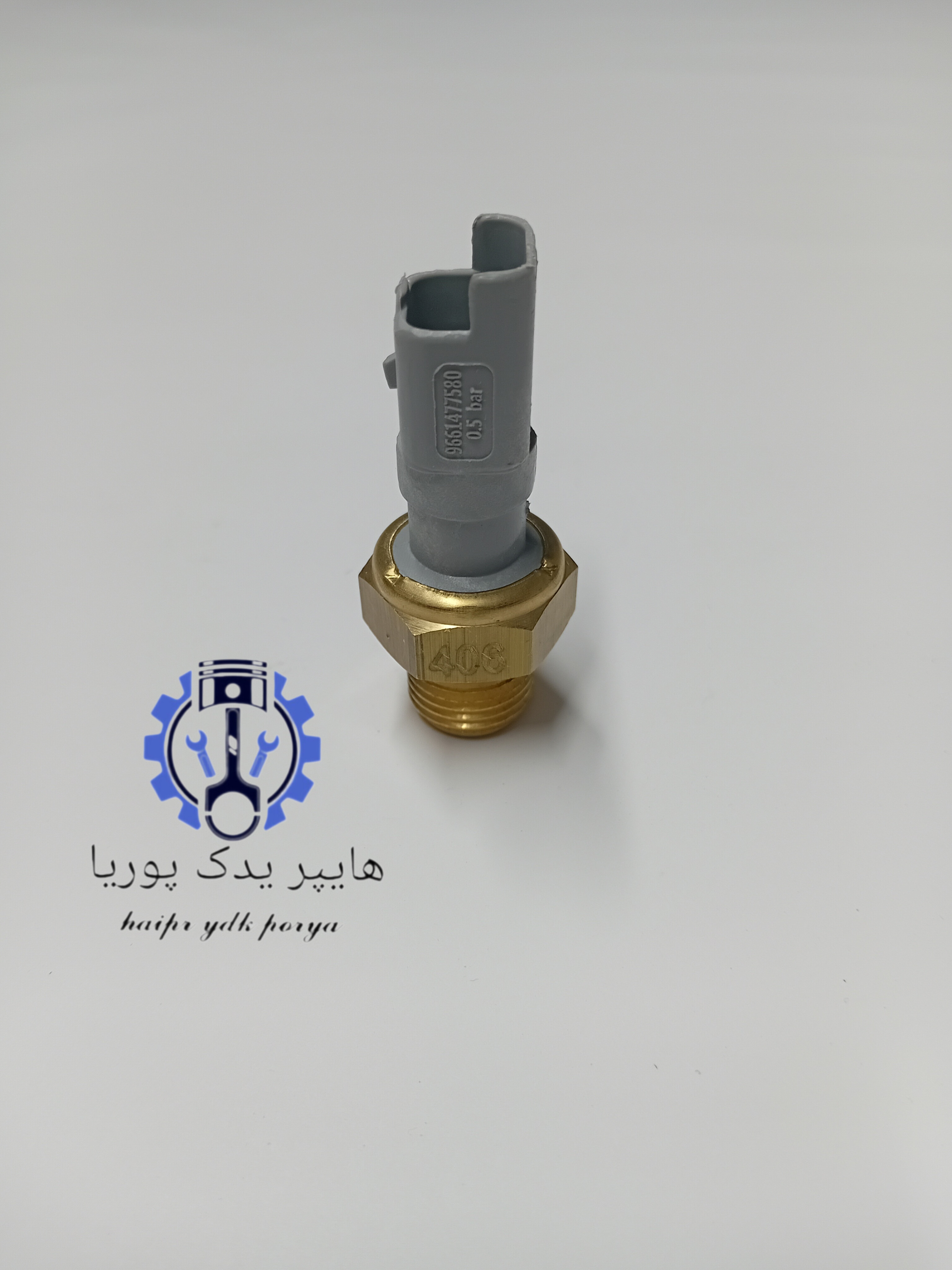 مهره- فشنگی روغن پژو206 تیپ 2 و 5-پژو207-رانا-رانا پلاس-تارا- ایمن تک پیشرو ایساکو اصلی